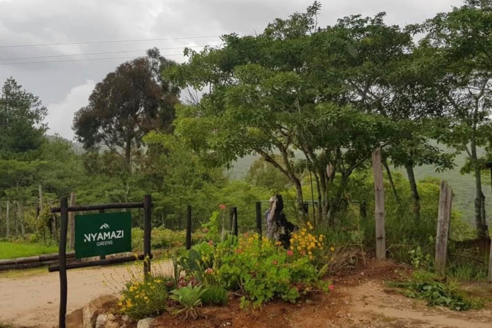 Nyamazi Greens